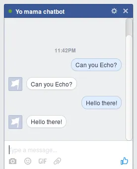 Facebook Echo
