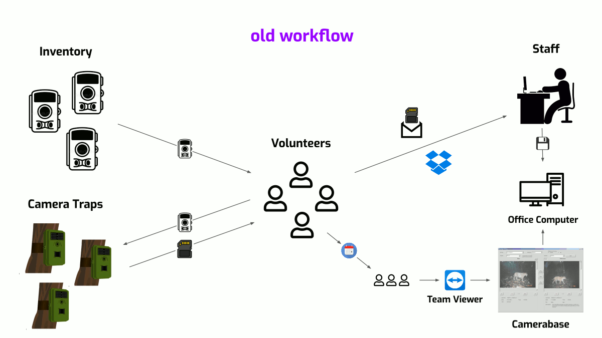 Felidae's old & new workflows