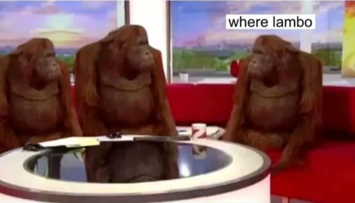 Where Lambo?